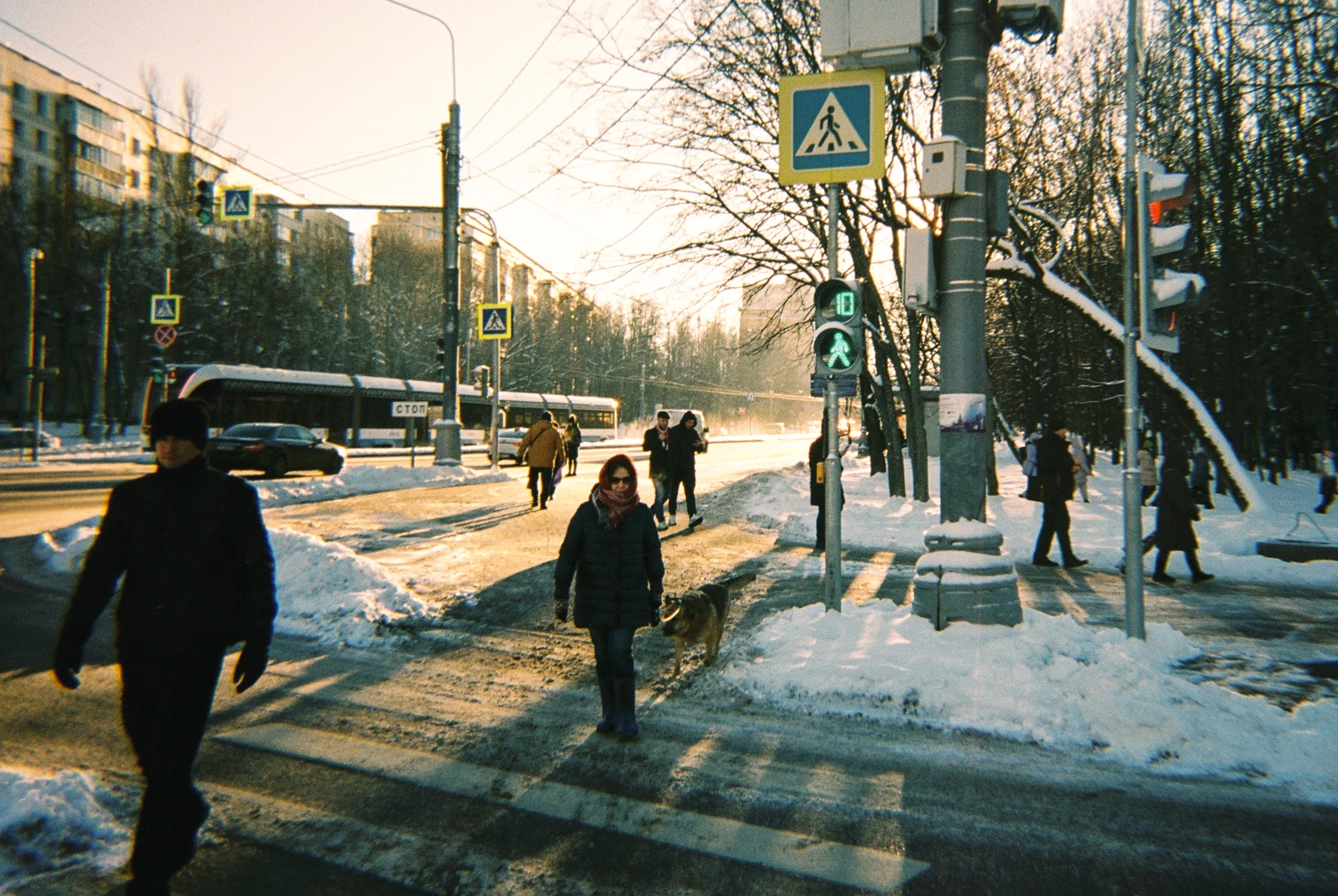 -20° shot on Kodak Vision 3 500T with a Harman Reusable Camera, by Mike