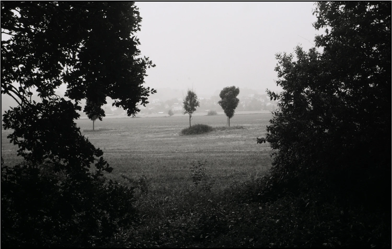Film photo shot on Foma Fomapan R100 with a Canon Canonet QL19, by jmfo