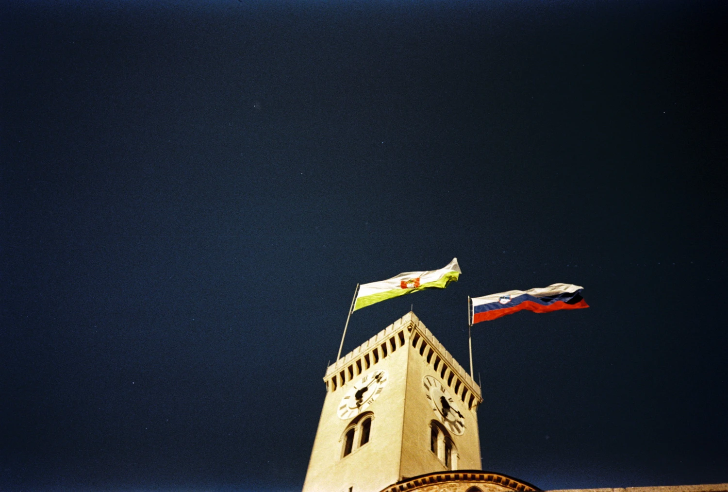 king in the castle shot on Fujifilm Superia X-TRA 400 with a Canon Sure Shot Owl, by l