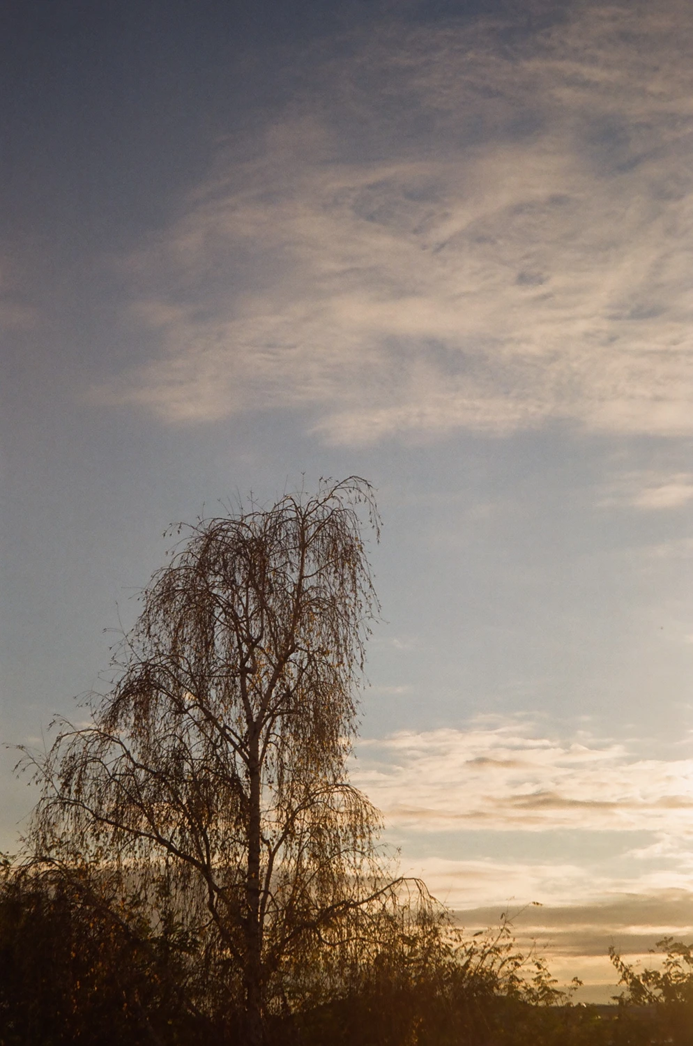 untitled | the start of a journey shot on Kodak Gold 200 with a Canon Prima Zoom 85N, by Fra Analog