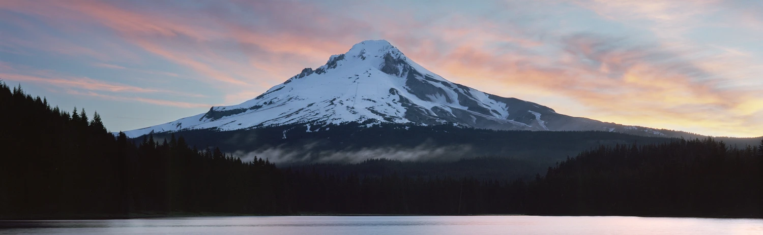 Trillium Sunrise shot on Kodak Portra 160 with a V-Pan Mark III 6x17, by grainy.me