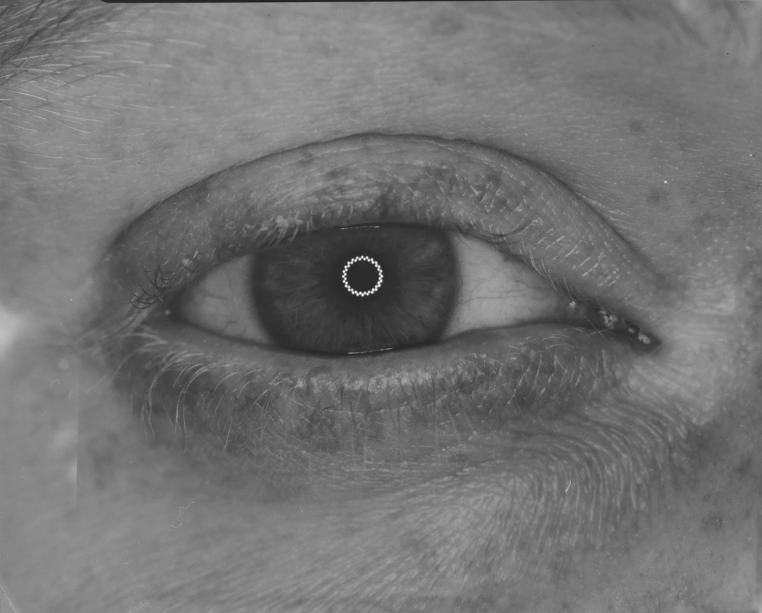 Eye See shot on Kodak T-Max 400 with a Cambo SC, developed at theFINDlab, by Spencer H