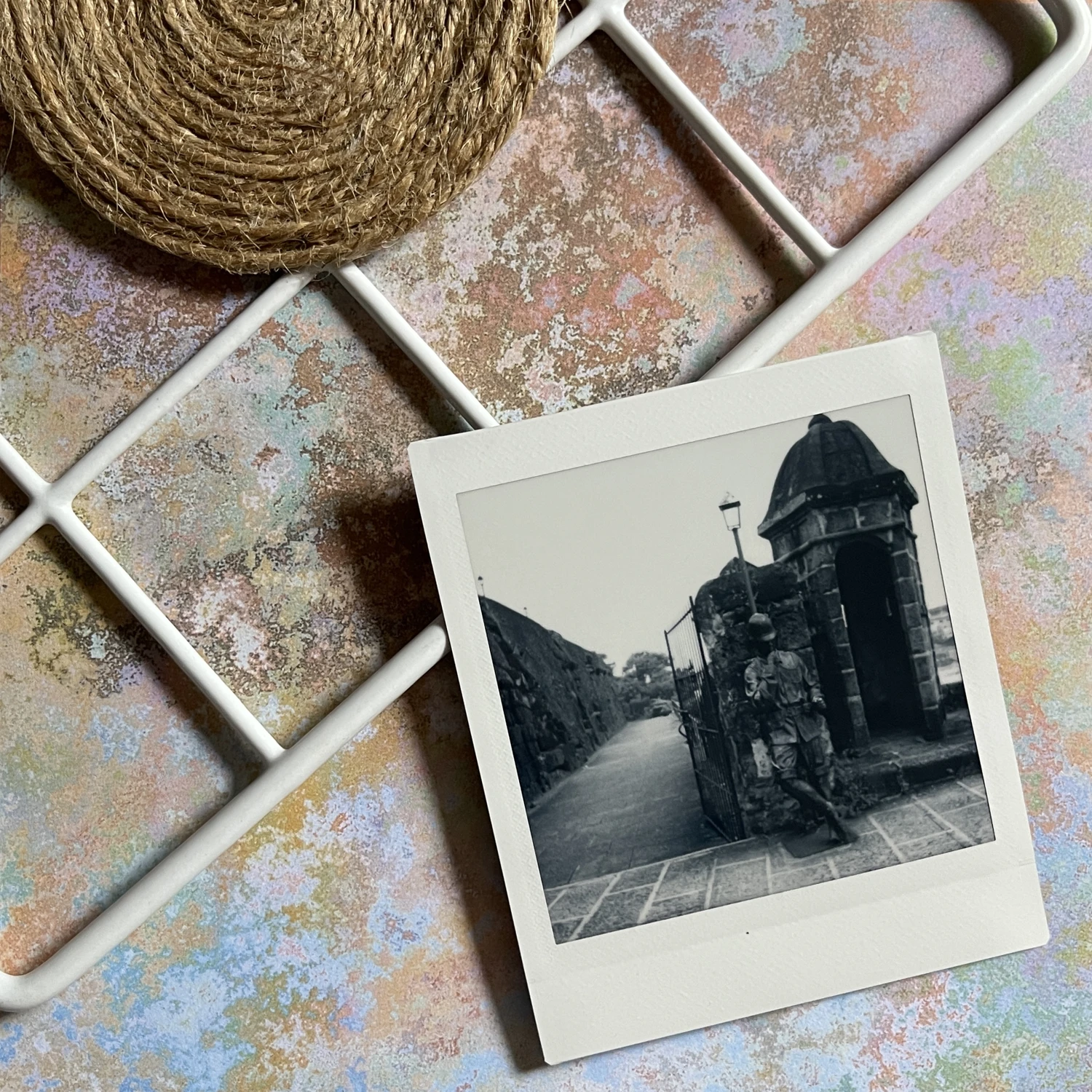 Standing Guard shot on Fujifilm Instax Square Monochrome with a Fujifilm Instax Square QQ6, by Coeli