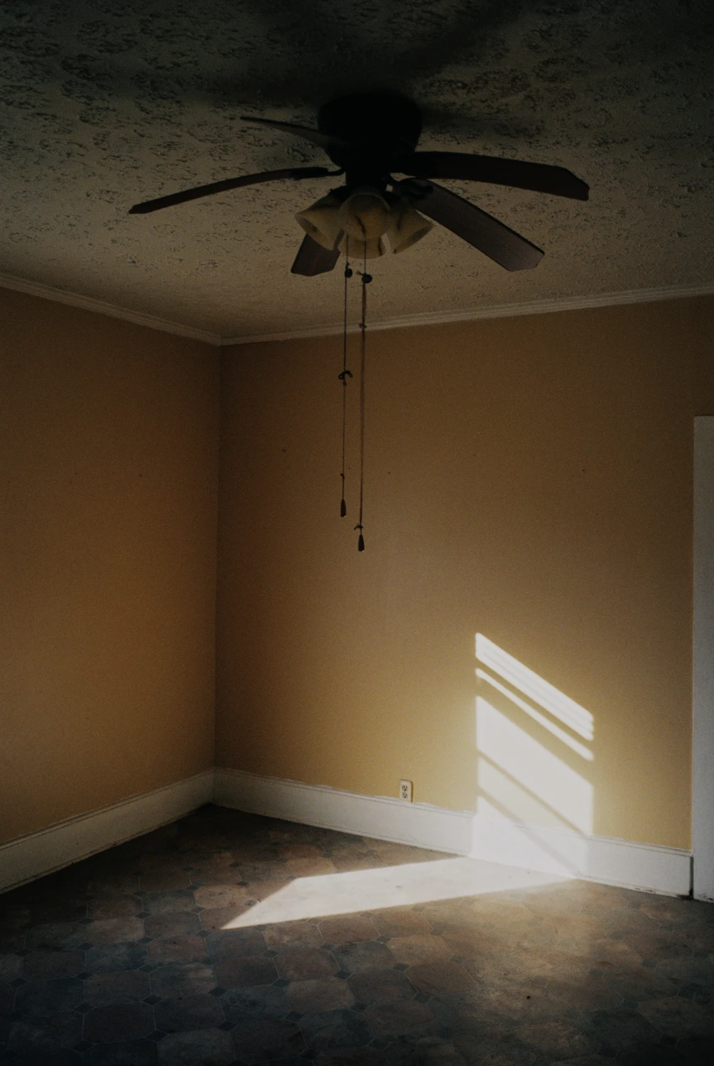 Tech Scout Light Study shot on Fujifilm FujiColor C200 with a Fujifilm Klasse W, by Richard Vialet, ASC
