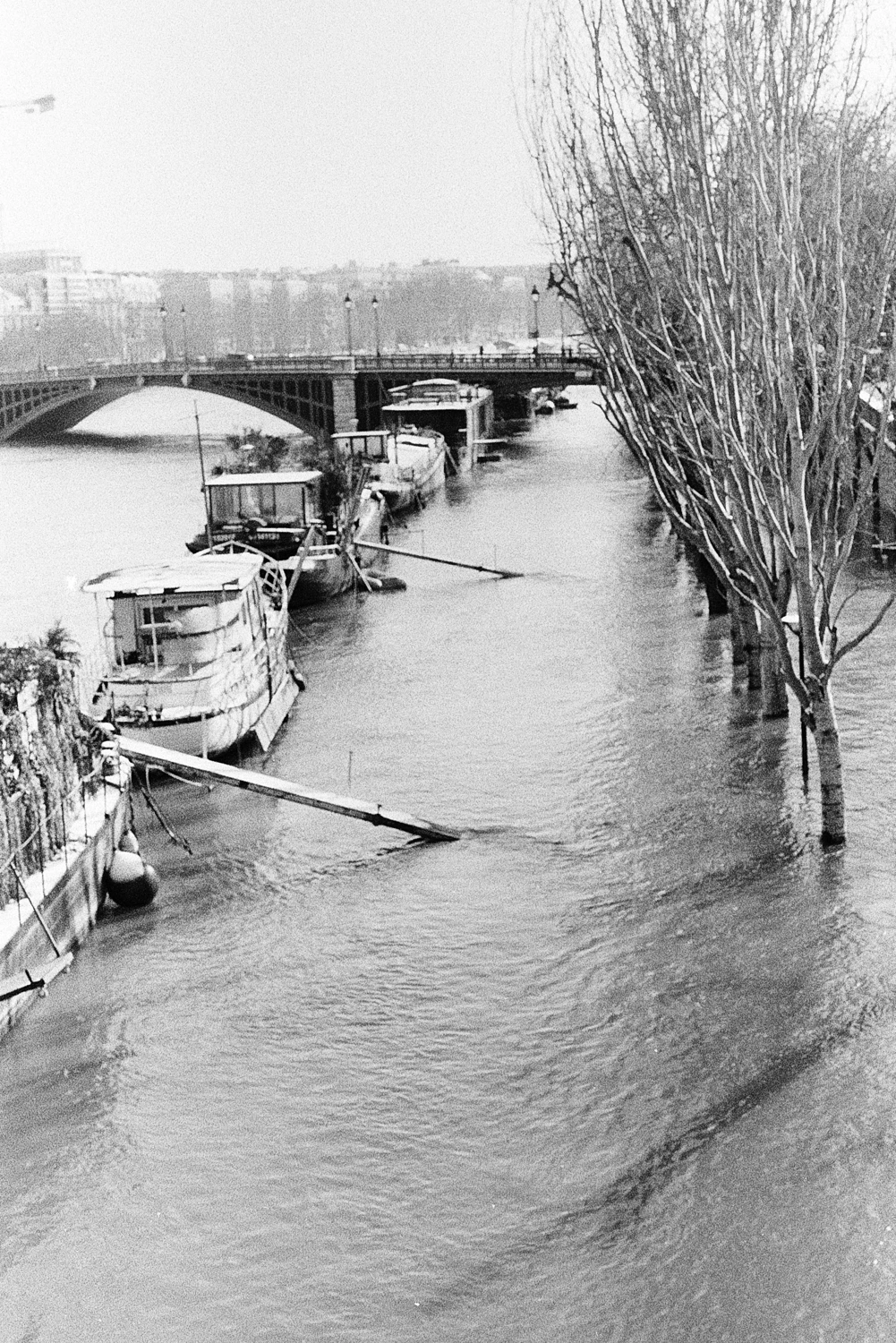 Haute Seine shot on Adox CHS 100 II with a Fujica AX-3, by Angèle