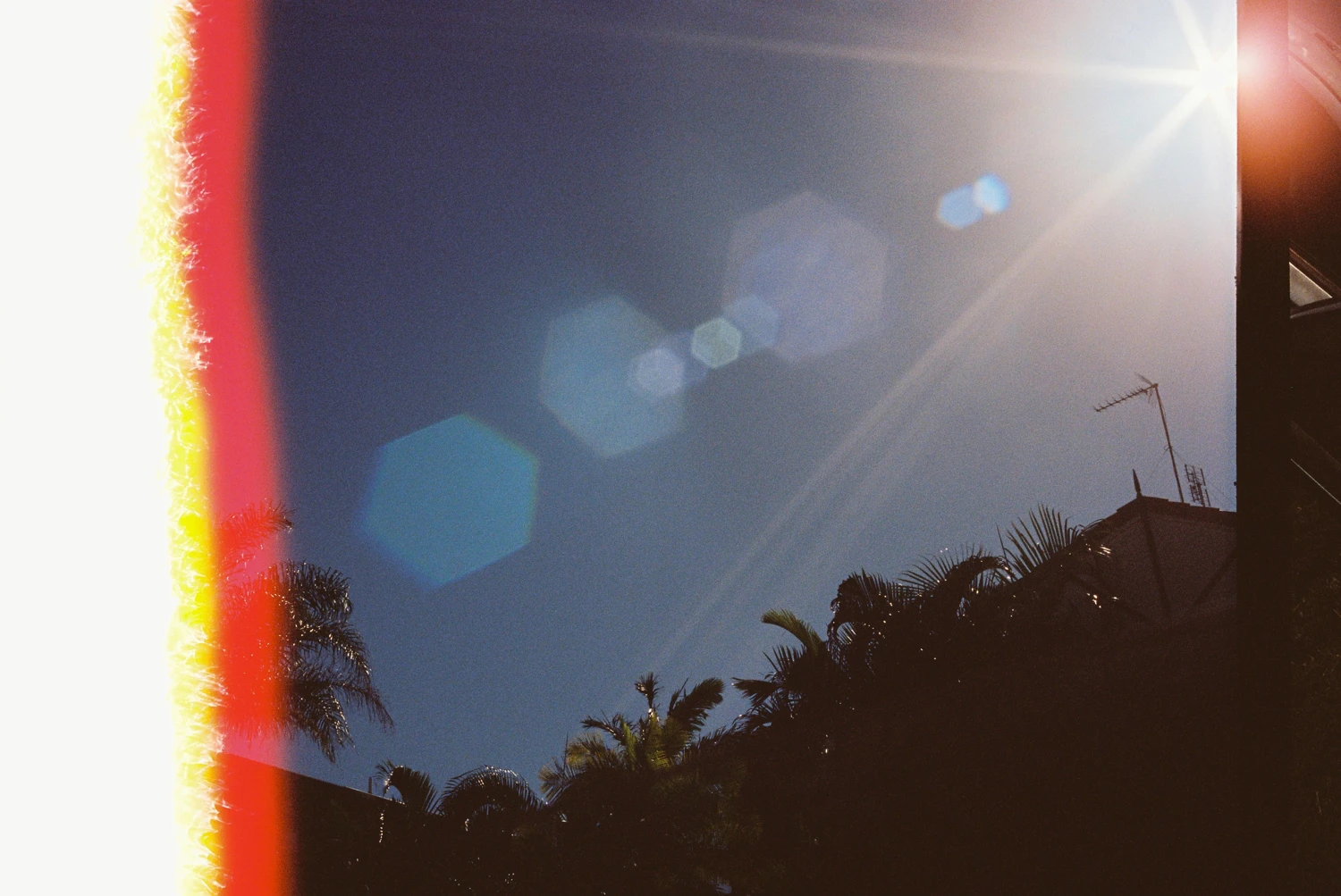 Strong sunlight shot on Kodak Portra 400 with a Nikonos IV, by Kdawg_0423