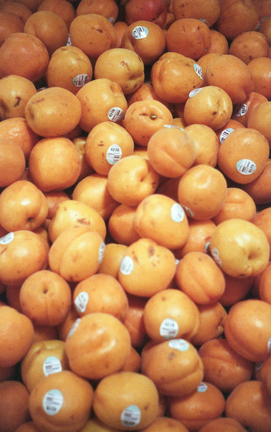 Peaches shot on Fujifilm Superia Venus 800 with a Vivitar 220 SL, by Evan