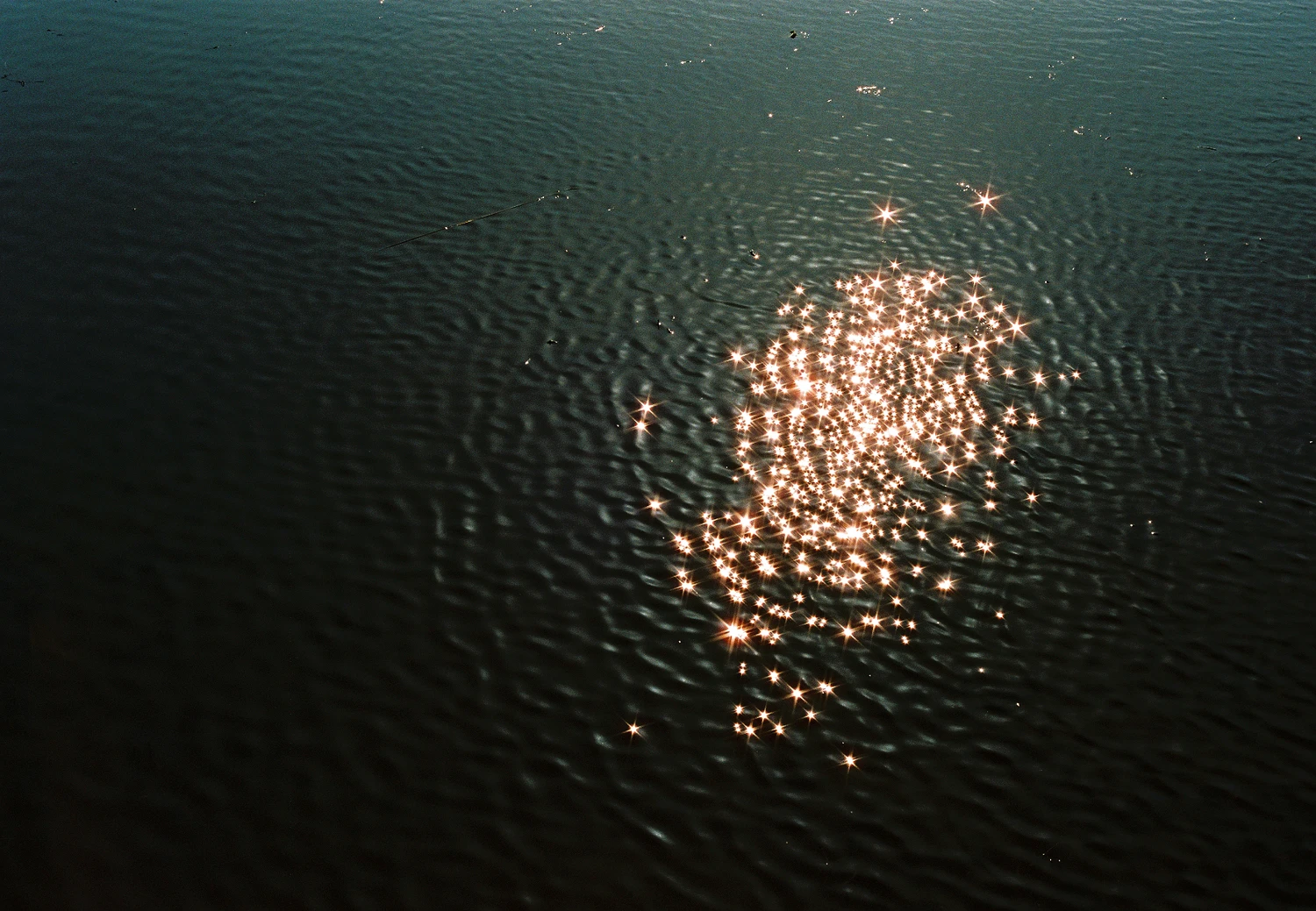 Film photo shot on Fujifilm Superia X-TRA 400 with a Konica Autoreflex T4, by Maryca