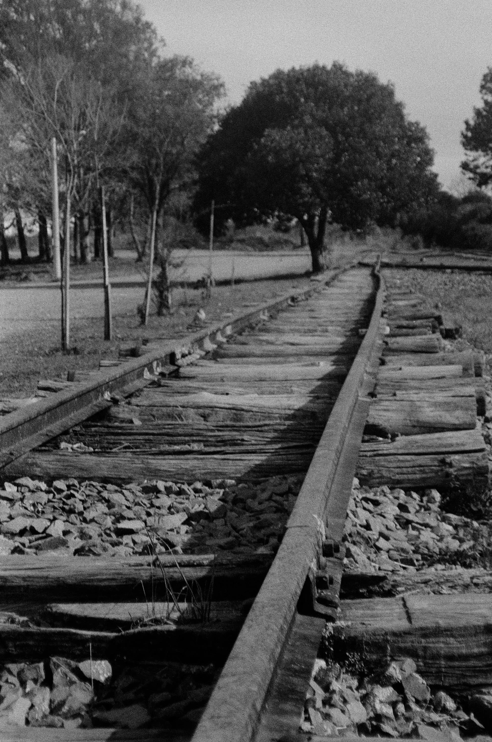 Railway shot on Shanghai GP3 with a Mitsuca M18BR, by Juno Bengochea