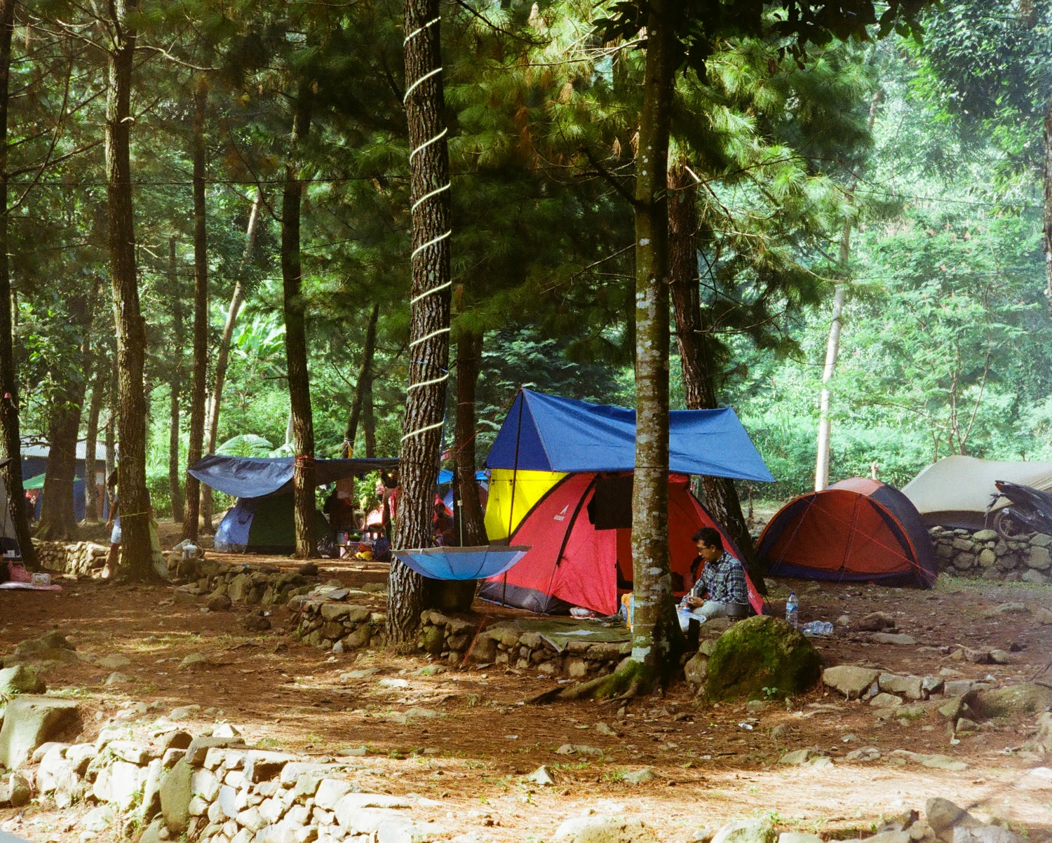 Back to Nature shot on Kodak ColorPlus 200 with a Yashica E35 GSN, by Haryanto