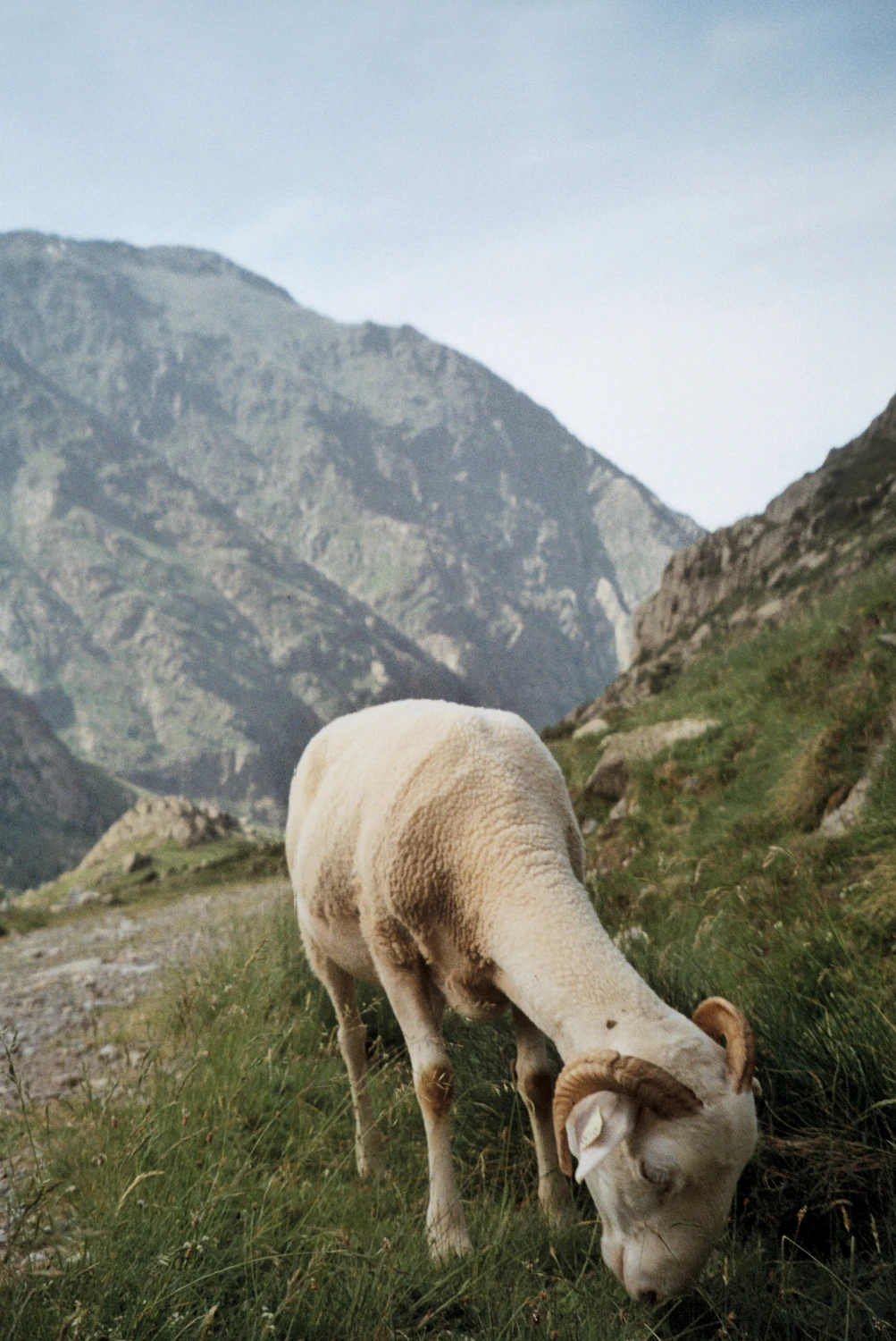 LIFE shot on Kodak ColorPlus 200 with a Canon Prima Zoom 85N, by ARGENTEURS