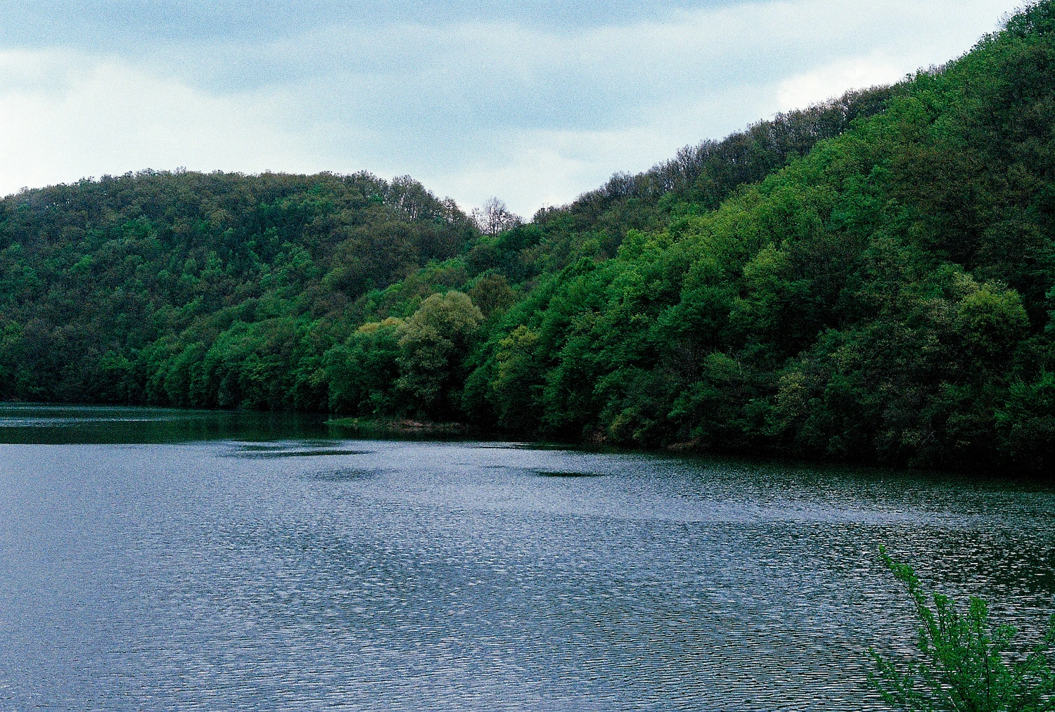 Film photo shot on Kodak UltraMax 400 with a Konica Autoreflex T4, by Maryca