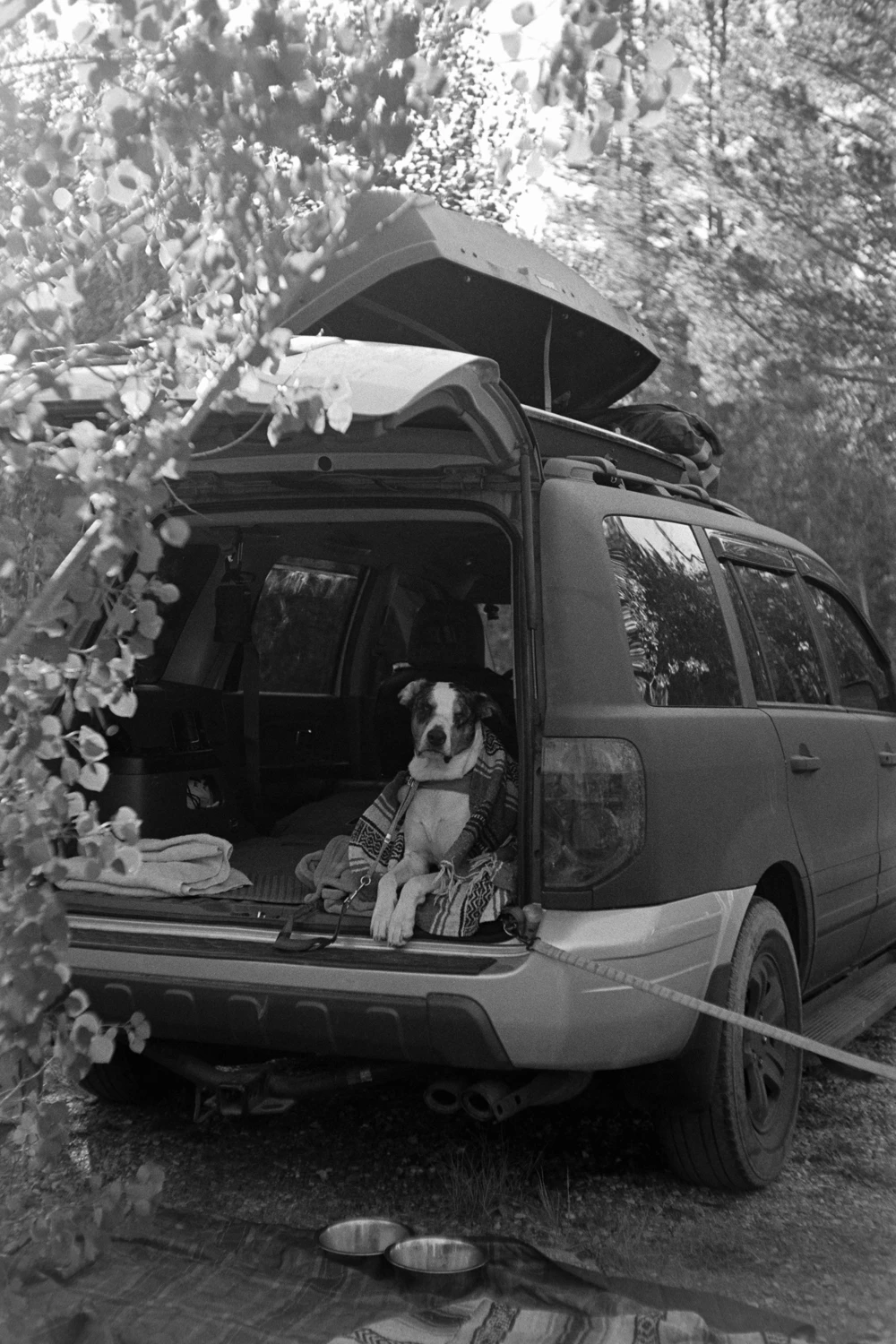 Film photo shot on Kodak T-Max 400 with a Nikon SP, by Squid