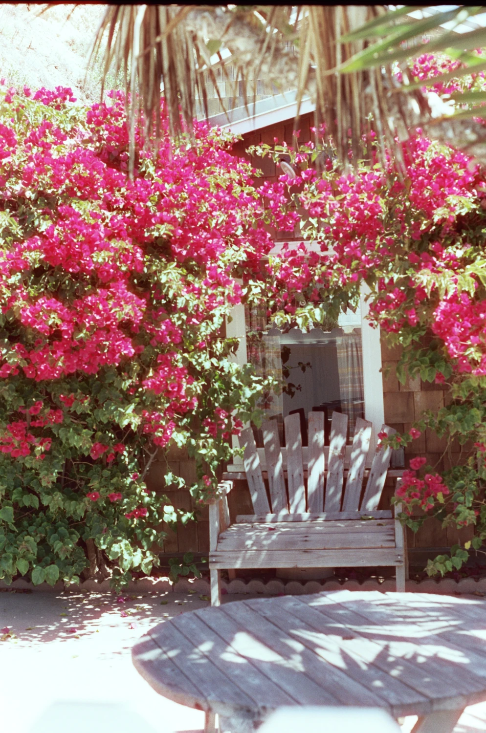 Rest Stop shot on Cinestill 400D with a Spotmatic II, by Aki Wandering