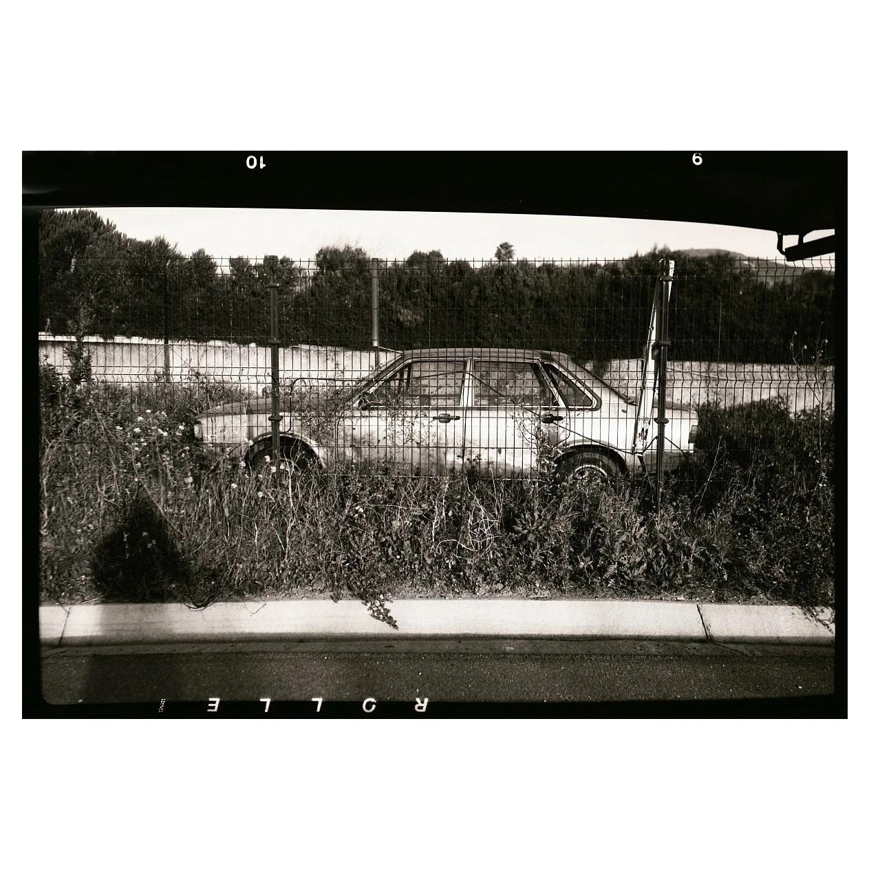 Film photo shot on Rollei Retro 80S with a Franka Rollfix