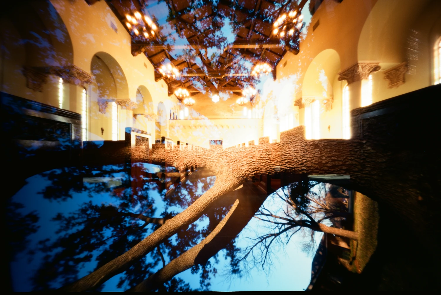 Branch Church shot on Kodak Ektar 100 with a RealitySoSubtle 6x9F, by Colby Howe