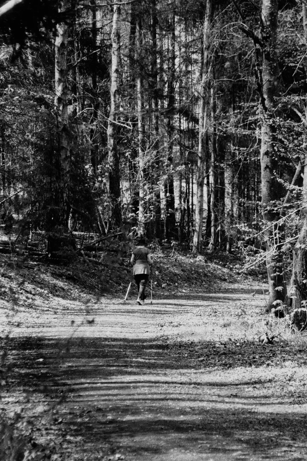 Going for a walk shot on Ilford HP5 Plus 400 with a Rollei Prego 125, developed at Home / Self-Developed, by Nils.