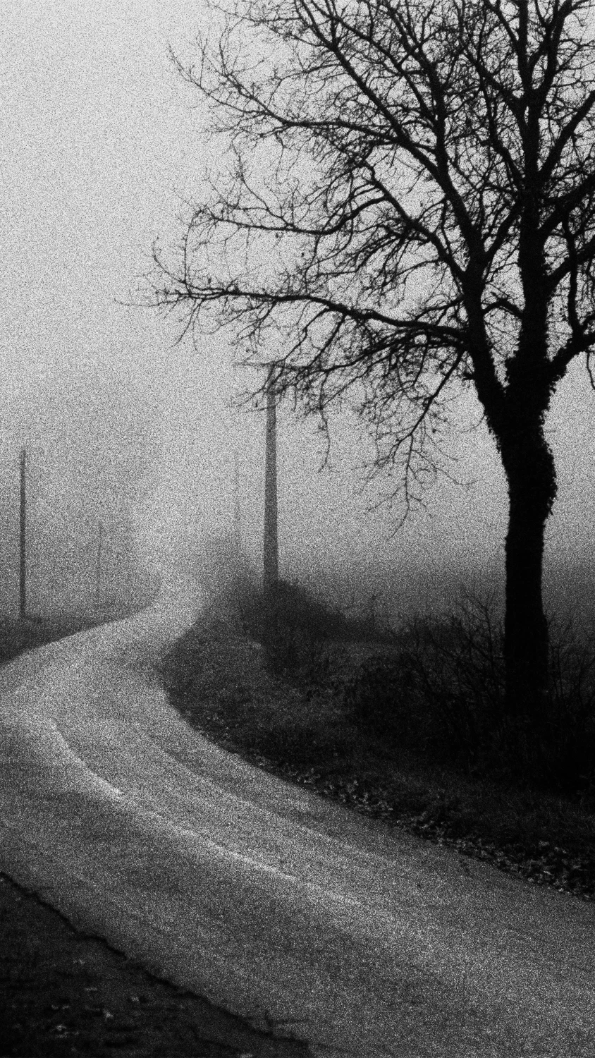 Foggy day in December shot on Foma Fomapan 400 Action with a Minolta Hi-Matic 7s, by Nicolas