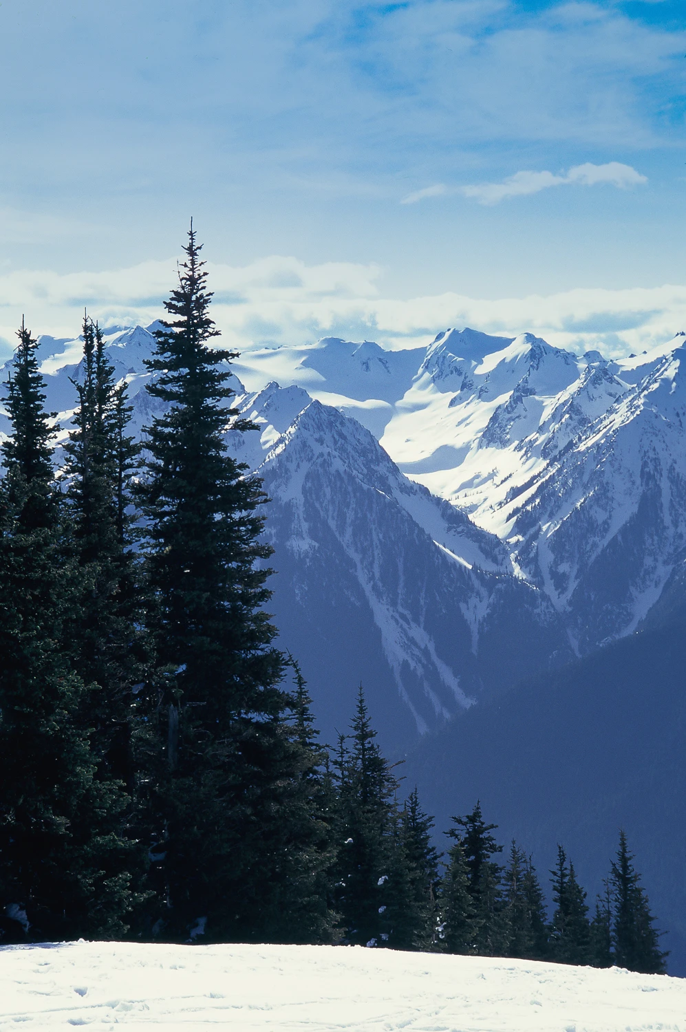 Hurricane Ridge shot on Fujifilm Velvia 100 with a Nikon N8008s, by Andy Keck