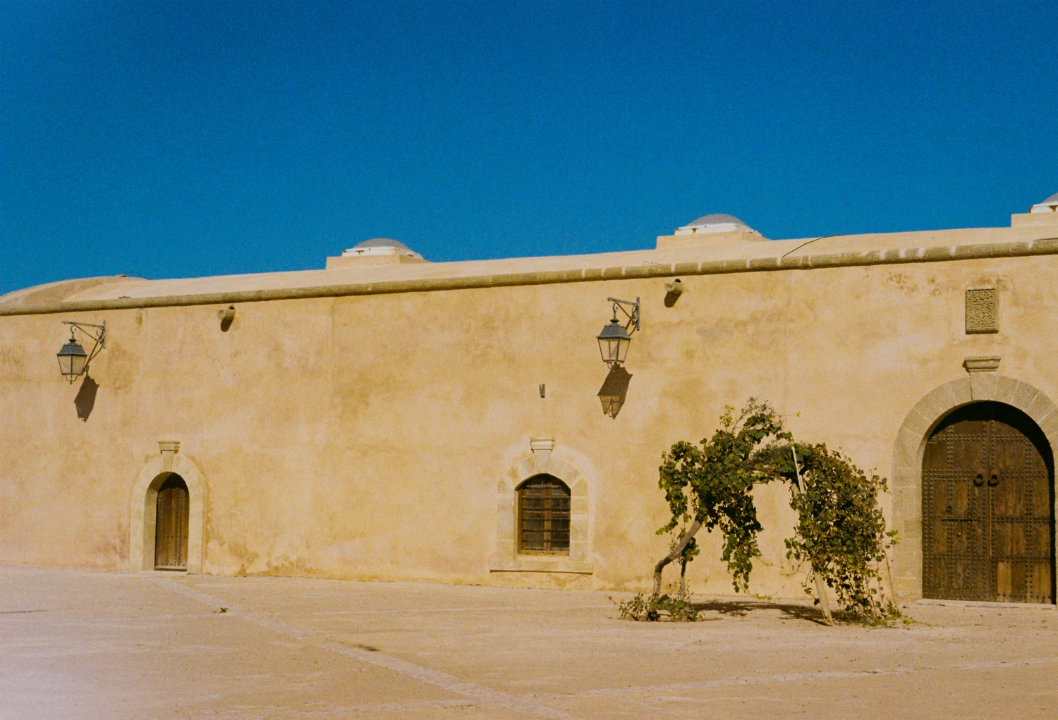 Vine's solitude shot on Kodak Portra 400 with a Porst Compact Reflex SP, by Diego Osses