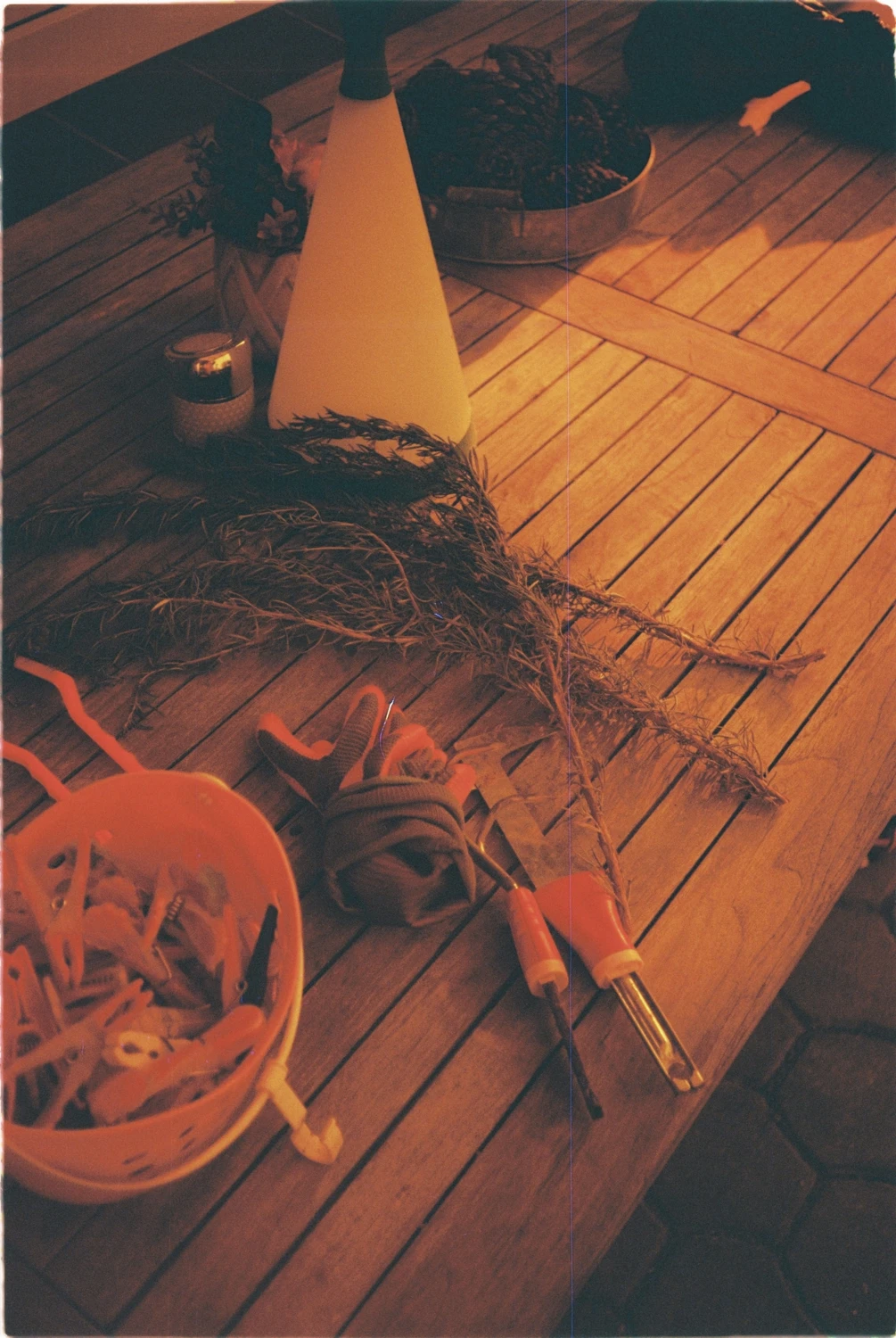 Romarin shot on Lomography Redscale XR 50-200 with a Chinon Monami 35 FS, by Luca Mulkens
