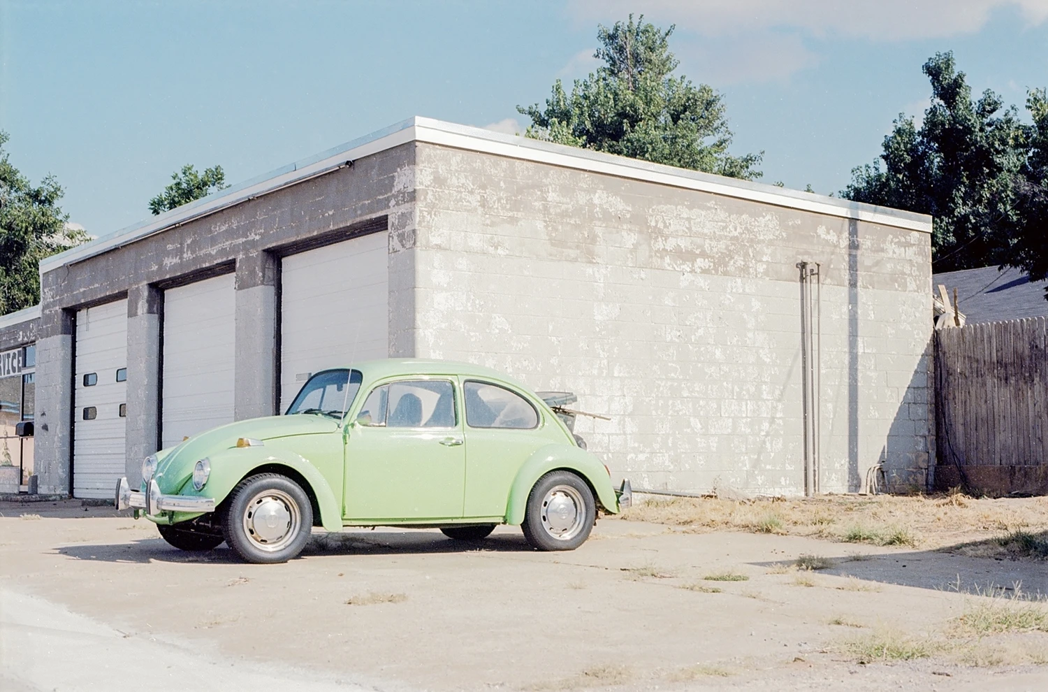 Bug Out shot on Kodak Ektar 100 with a Ricoh XR-7, by Cray