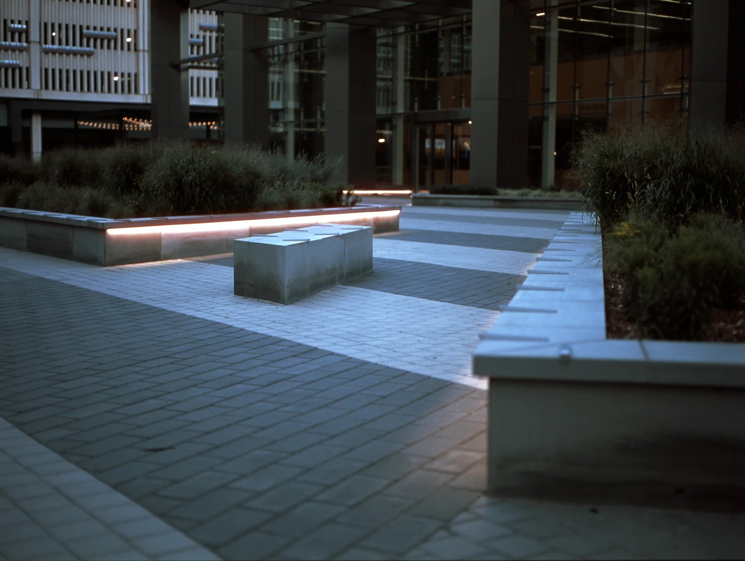 A Cool Walk shot on Fujifilm Provia 100F with a Mamiya M645j, by Cray