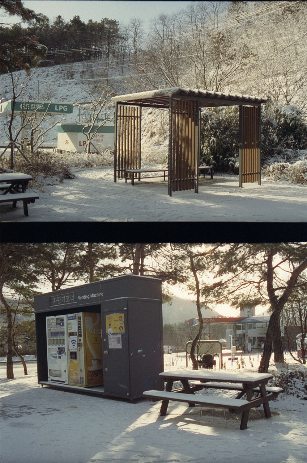 Rest Stop shot on Cinestill 400D with a Yashica Samurai X3.0, developed at Pro Photo Factory, by Aki Wandering