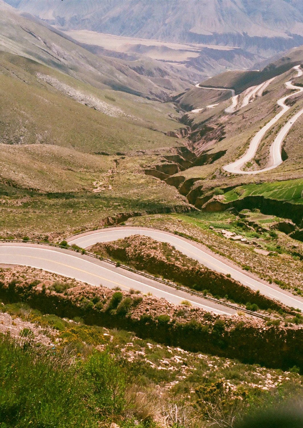 Snake in the Mountain shot on Fujifilm Superia X-TRA 400 with a Olympus Pen FT, by Marco Decca