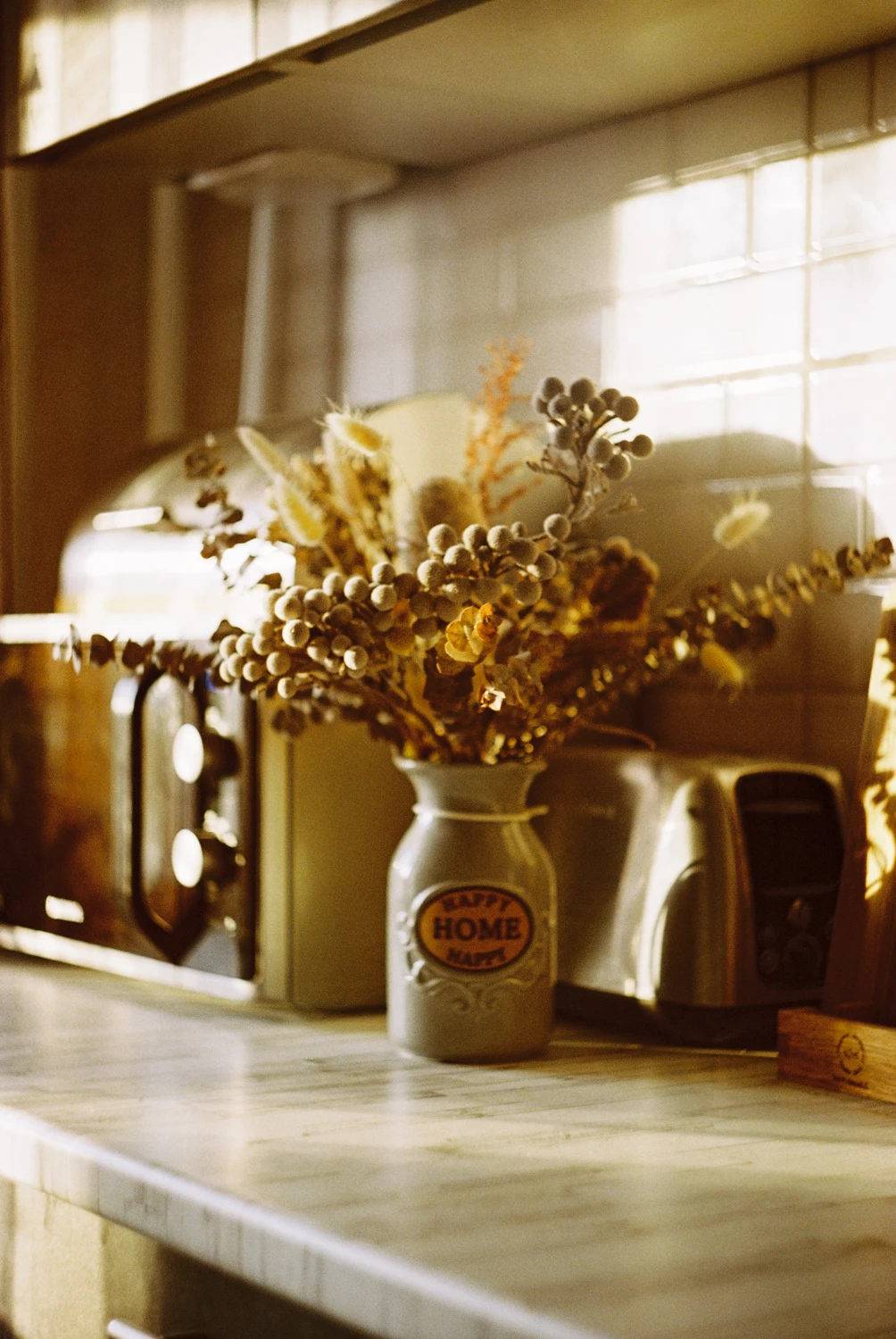 Home shot on Kodak Vision 3 250D with a Zenit 21XS, by sosha