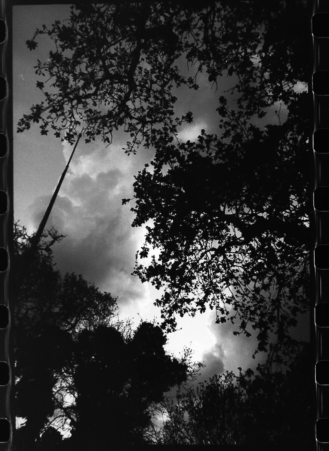 Film photo shot on Film Washi Film Washi A with a Canon AE-1, by Simonsimonsimon