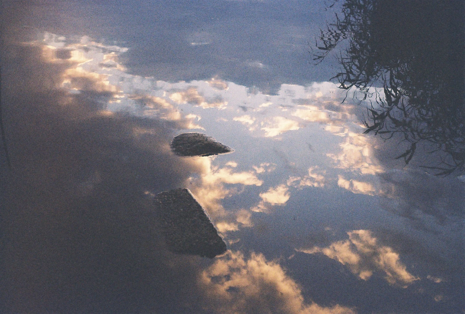 down by the river shot on Kodak ColorPlus 200 with a Smena Symbol, by qleszka