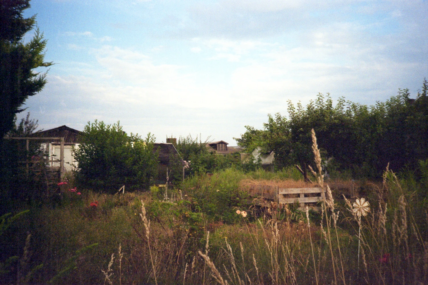 forgotten familiarity shot on Kodak ColorPlus 200 with a Canon Sure Shot Ace, by slxcke