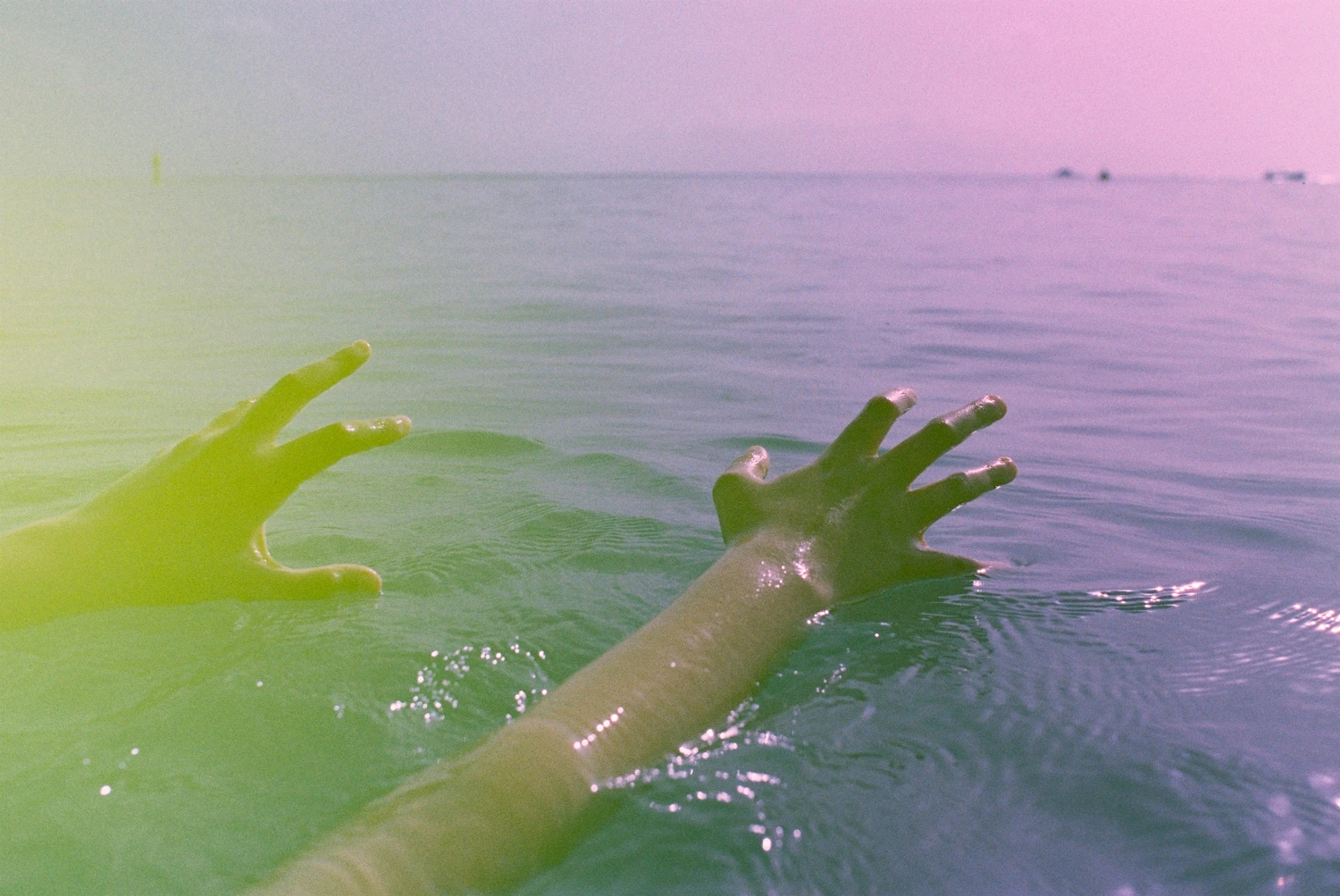 sieze the day shot on Revolog Kolor 200 with a Nikon FM3, by sara mckinnon