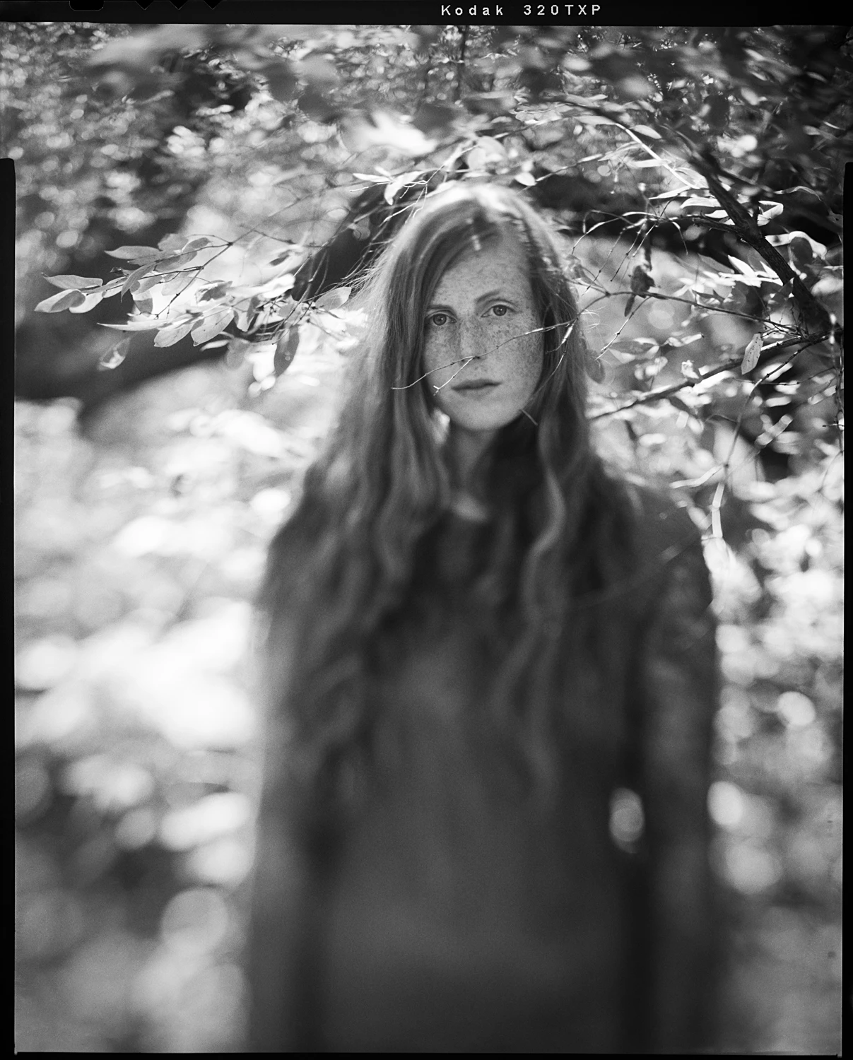 * shot on Kodak Tri-X 320 with a Sinar P, by nancy eichler