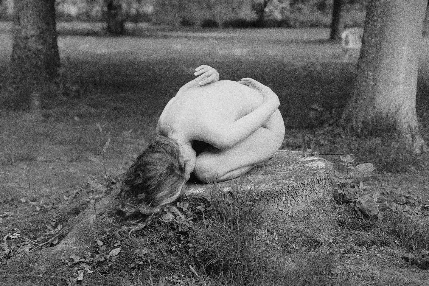 Film photo shot on Ilford Delta 400 with a Canon A-1, by Meru Freire