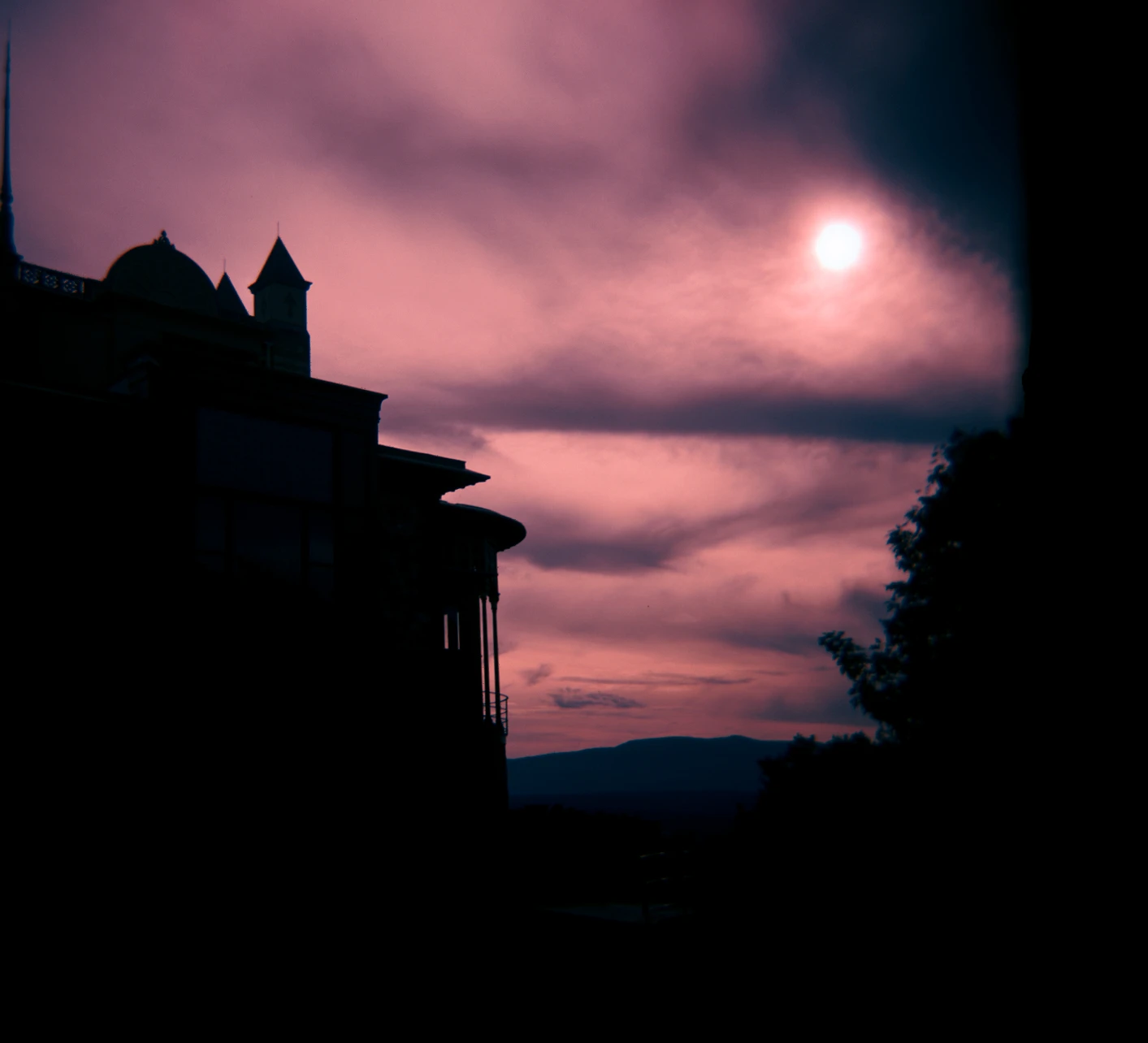 We're doomed shot on Kodak Ektar 100 with a Holga 120 SF, by honey.high