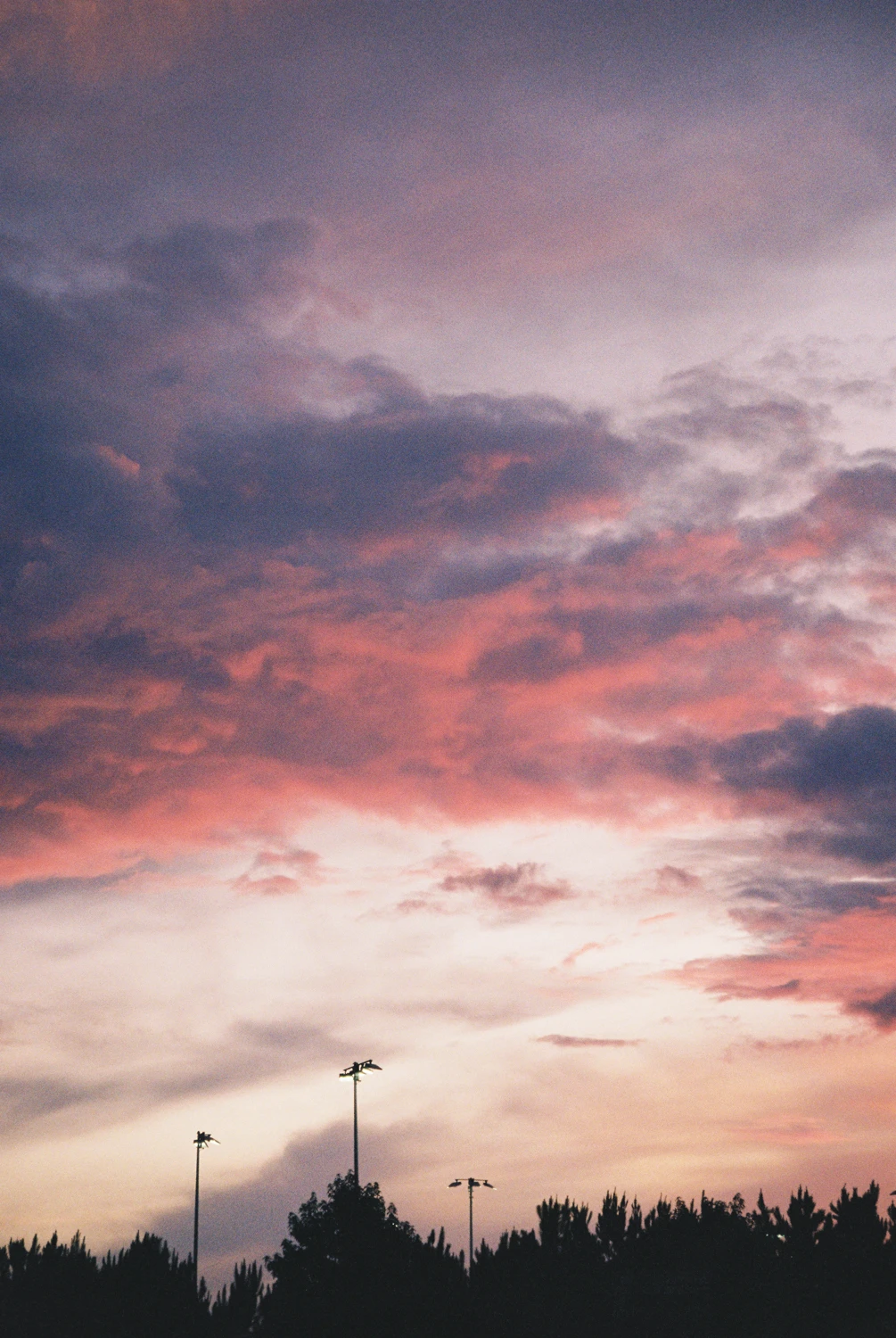 A day to remember shot on Kodak Gold 200 with a Nikon Lite Touch Zoom 130, by The Artist