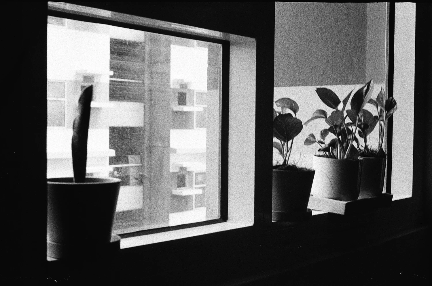 Window shot on Ilford HP5 Plus 400 with a FED Zarya, by Em