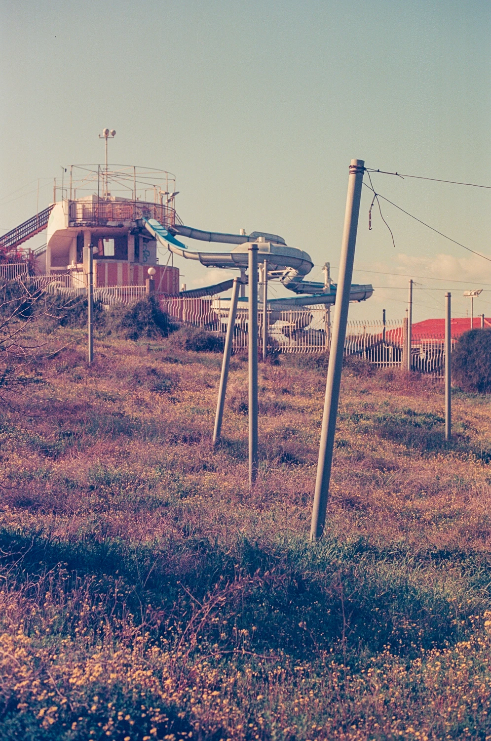 Ashkeluna shot on Kono! Delight Art 100 with a Olympus OM-4T, by Roei Marks