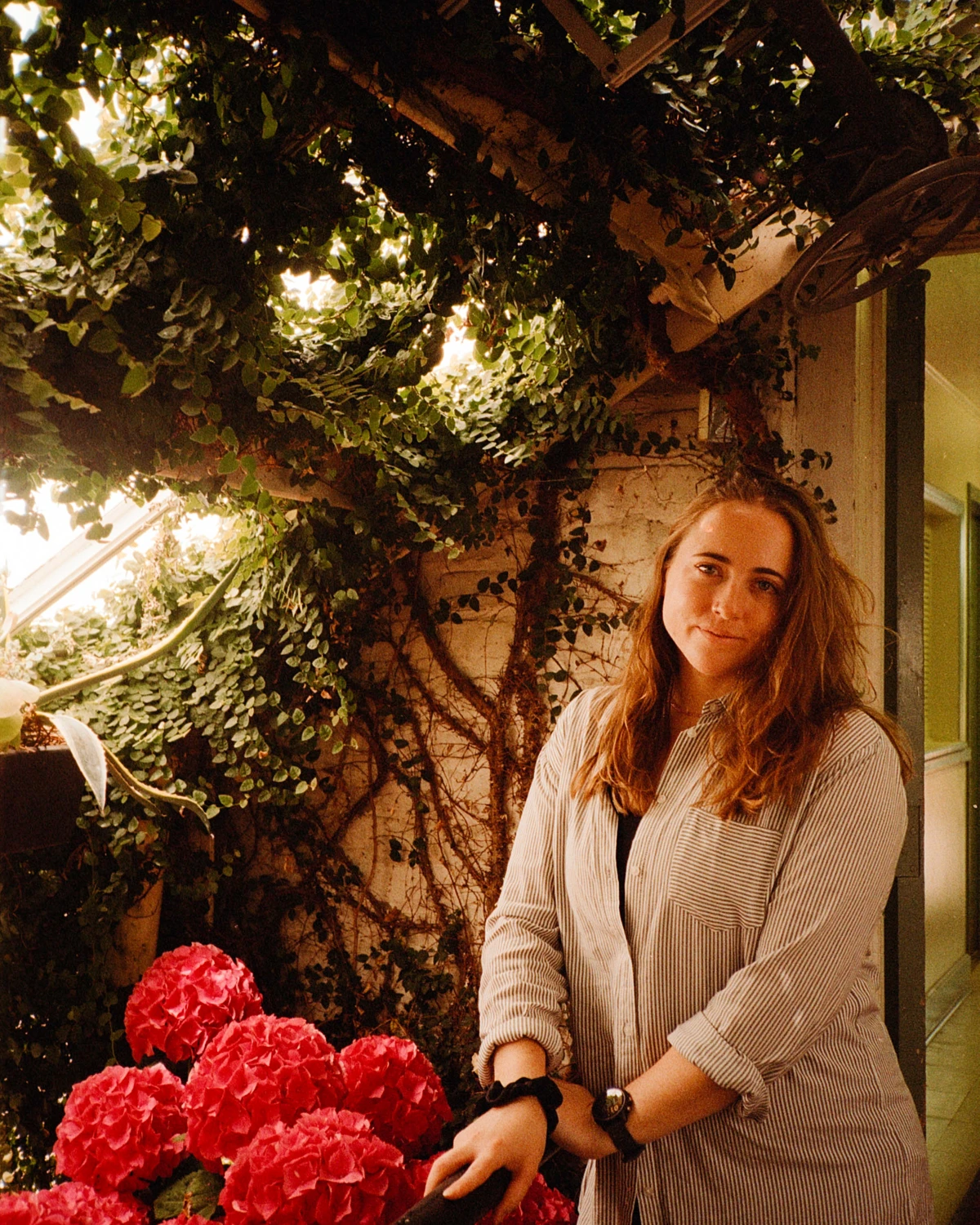 Arboretum shot on Fujifilm FujiColor C200 with a Minolta AF-Sv, by Ryan Yero
