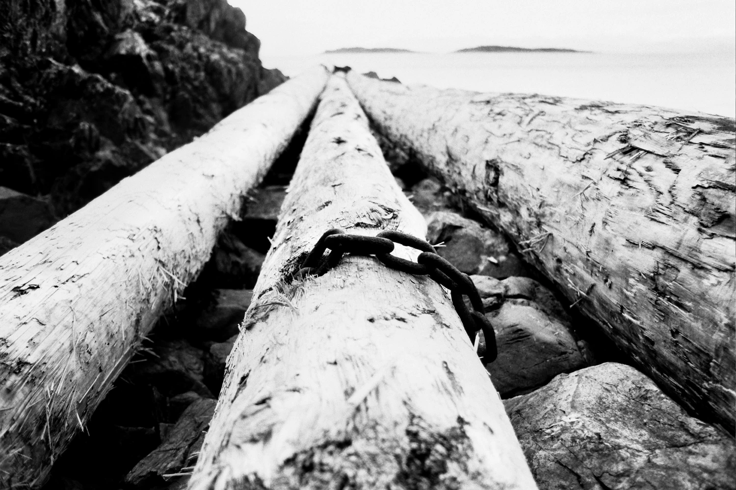 Three shot on Japan Camera Hunter StreetPan 400 with a Yashica FX-2, by MikeSquier