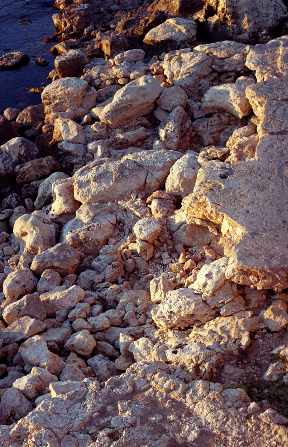 Crimea shot on Kodak ColorPlus 200 with a Canon EOS Elan 7, by Lolita Zh