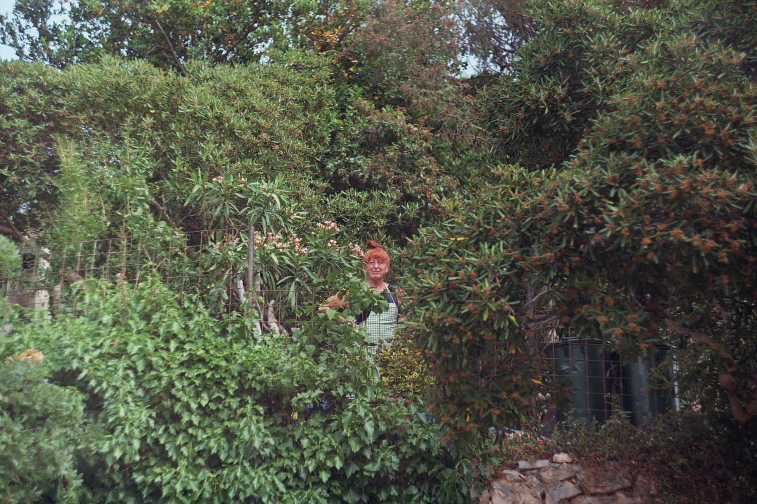mother shot on Kodak Gold 200 with a Zenit 12XP, developed at Foto Ivo, by pavo