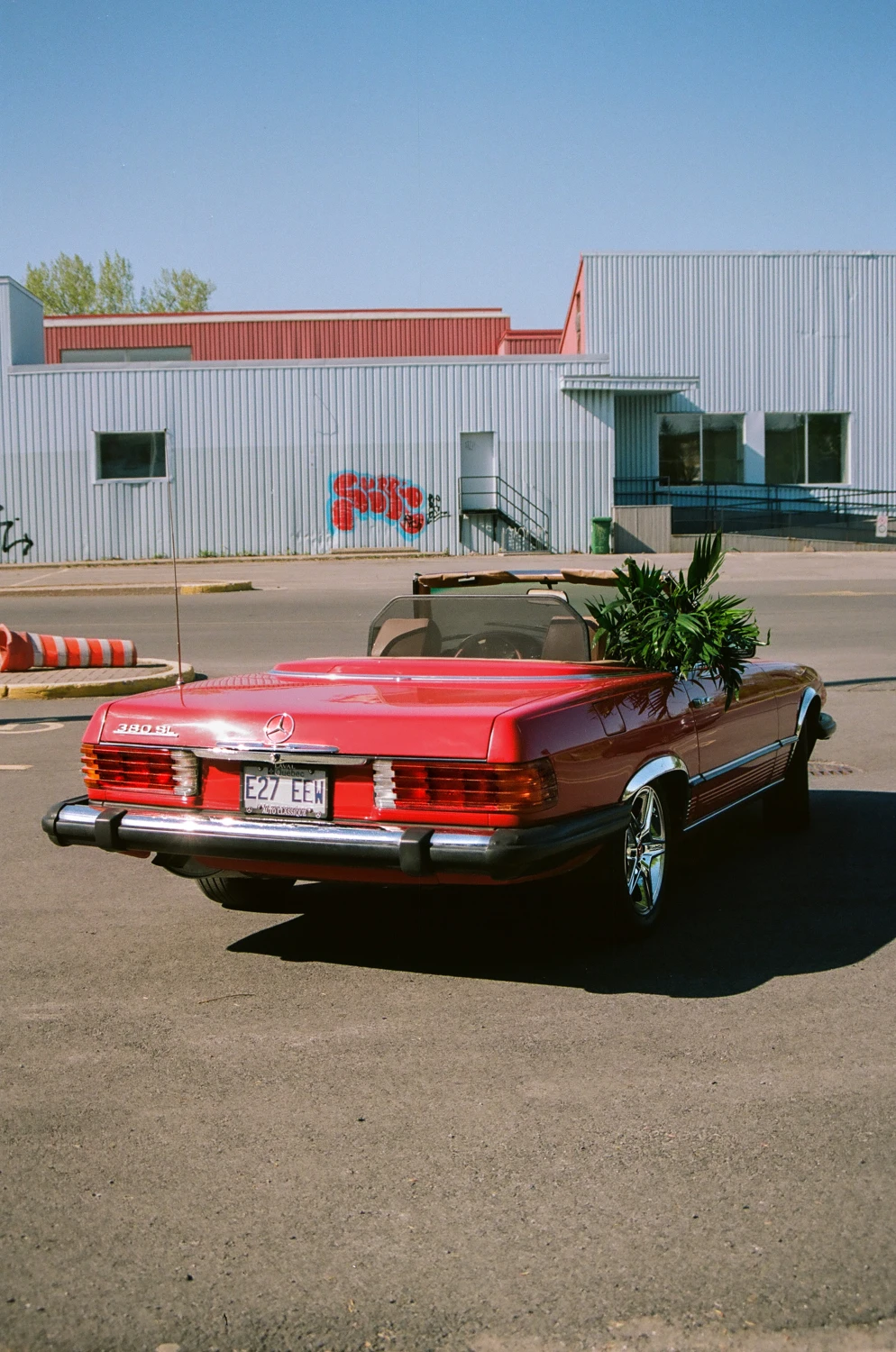 Plant passenger shot on Kodak Portra 160 with a Minolta Maxxum 3xi, by P-A