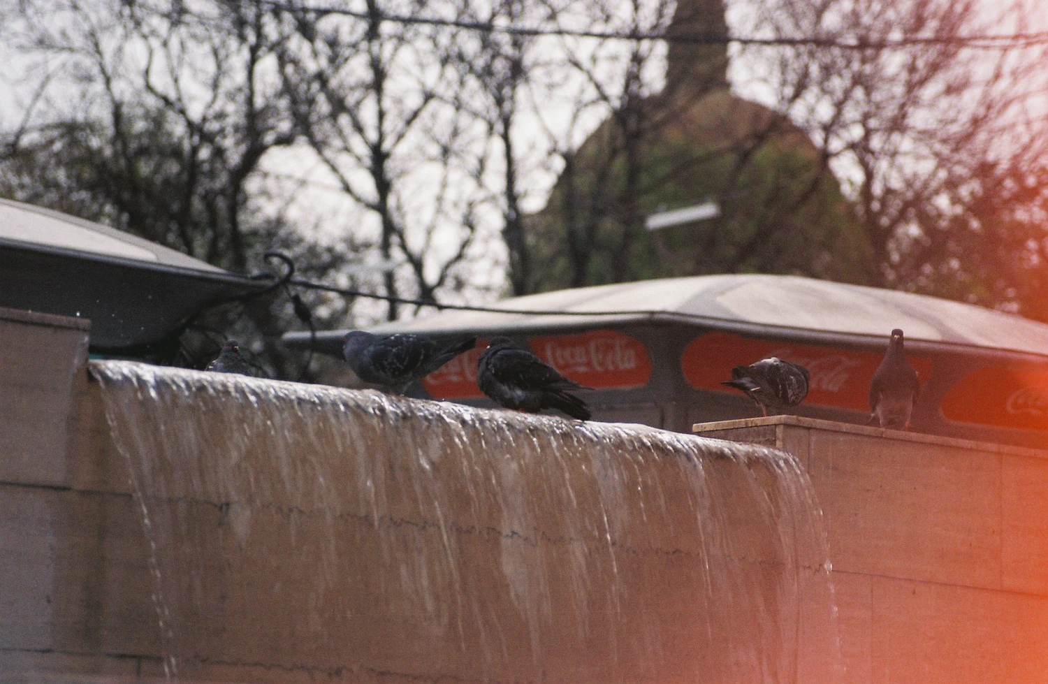 Film photo shot on Fujifilm Superia X-TRA 400 with a Nikon F401s, by Vlad Angheluț