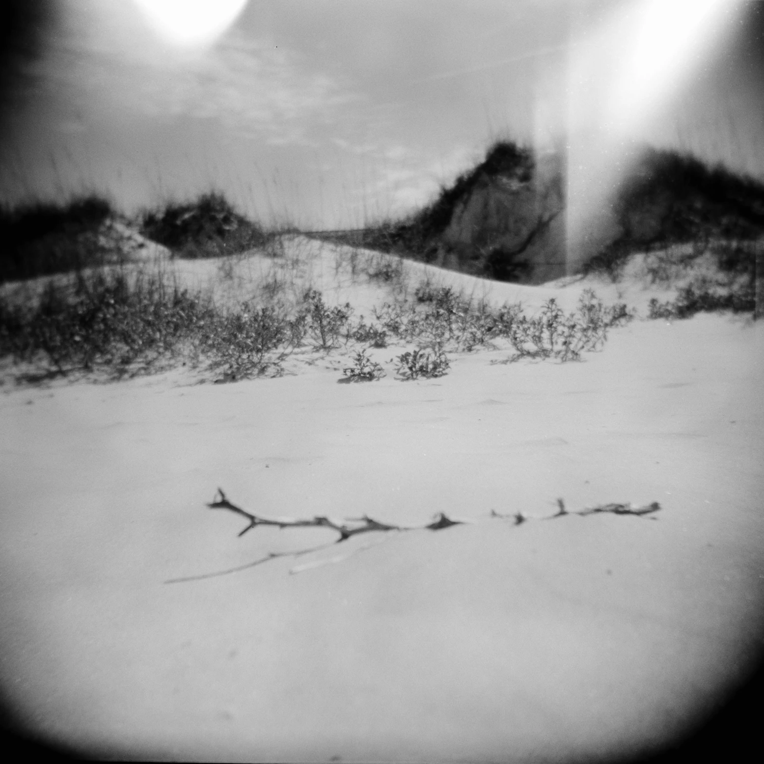 Crescent Beach shot on Ilford PanF Plus 50 with a Holga, by Charlie