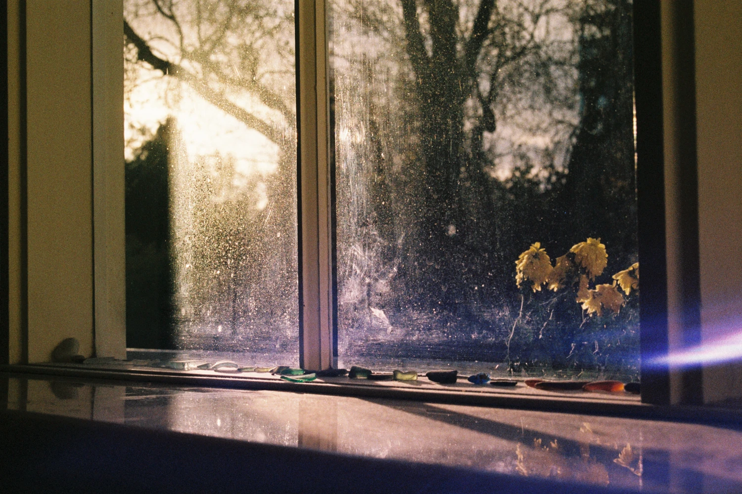 Golden Hour shot on Fujifilm Superia X-TRA 400 with a Minolta X-300s, by Wil