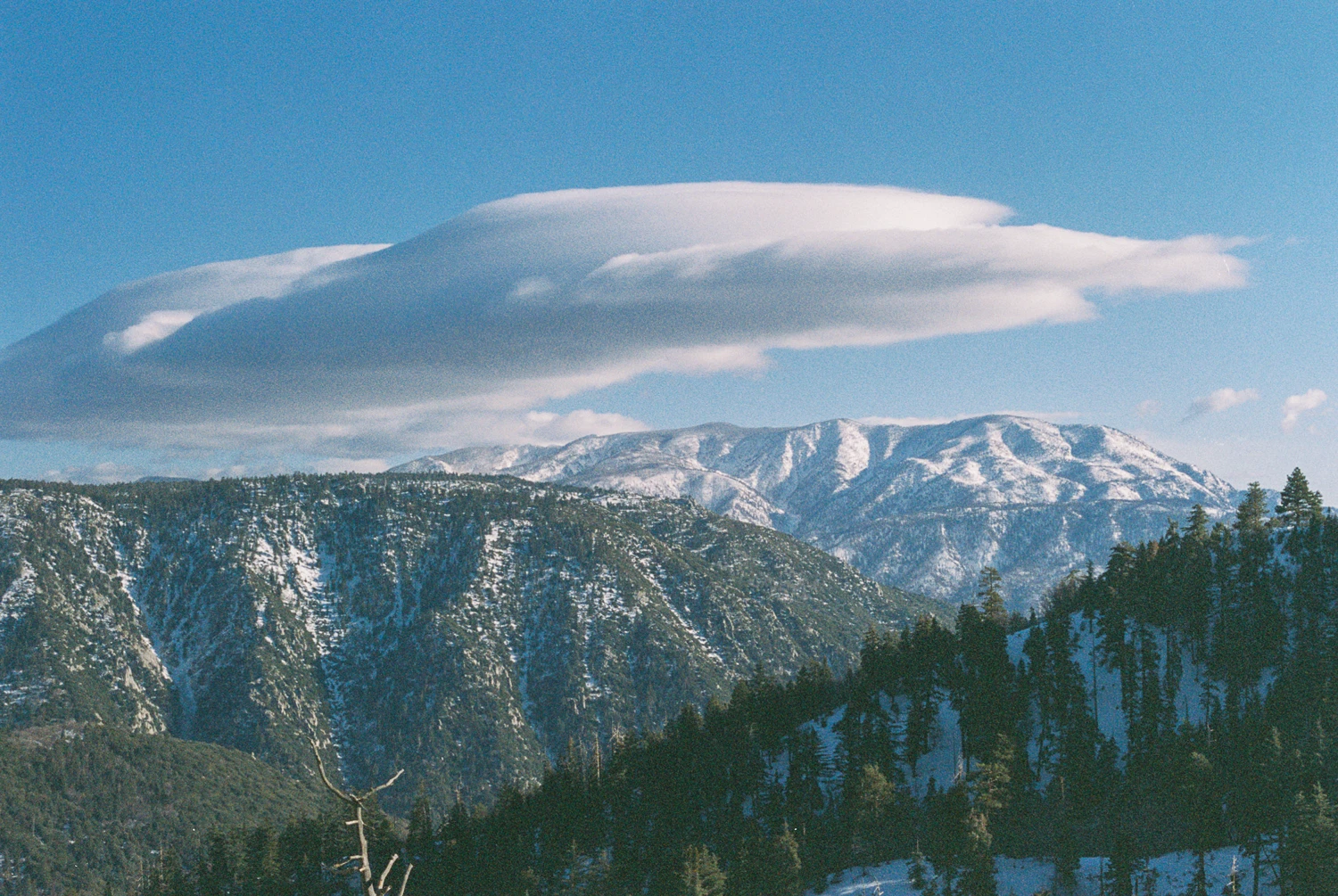 Mountain Side shot on Kodak Max Versatility 400 with a Spotmatic II, by Aki Wandering