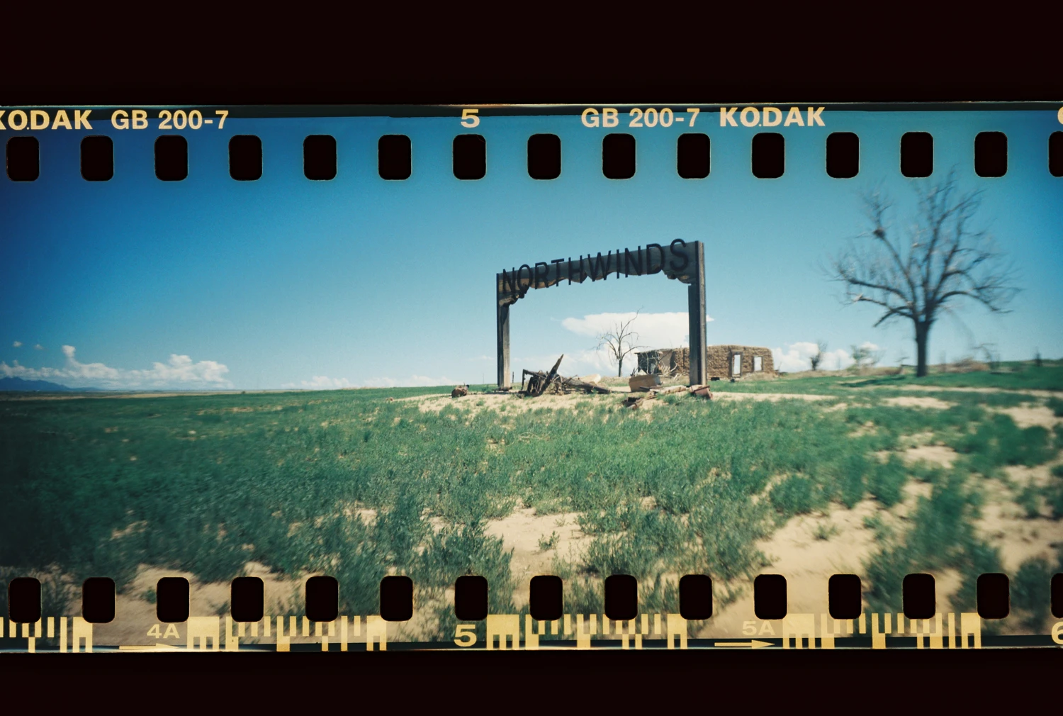 NORTHWINDS shot on Kodak Gold 200 with a Lomography Sprocket Rocket, by Zach